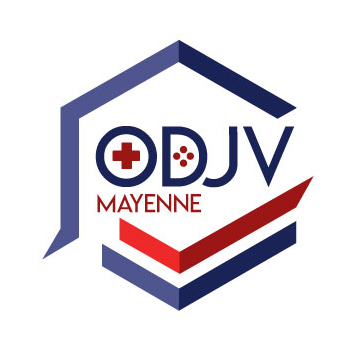 Organisation Départementale du Jeu Vidéo en Mayenne